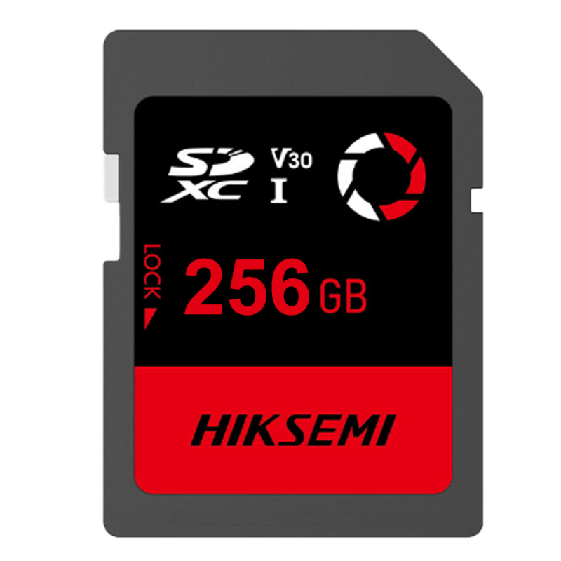 HS-SD-E30STD/256G/CAPTURE/W
