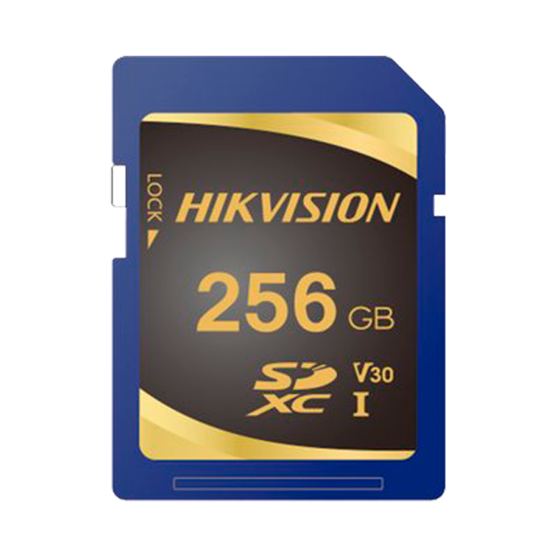 HS-SD-P10STD-256G